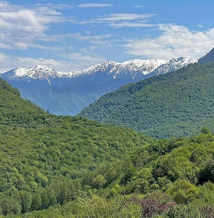 Гостевой Дом "Амза" Bed and Breakfast Tqvarcheli Exterior foto